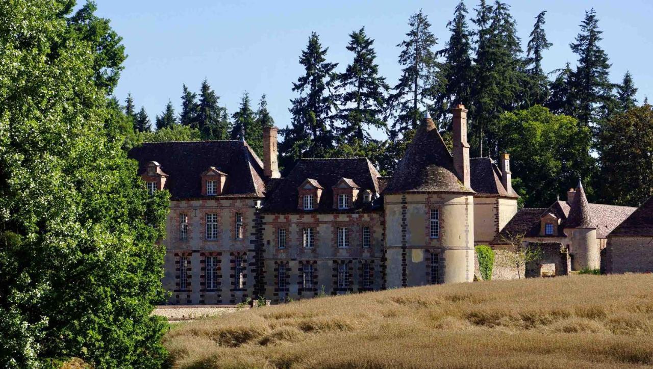 Chateau De La Riviere Pontgouin Extérieur photo