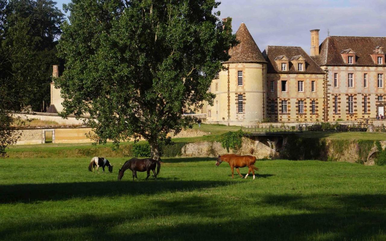 Chateau De La Riviere Pontgouin Extérieur photo